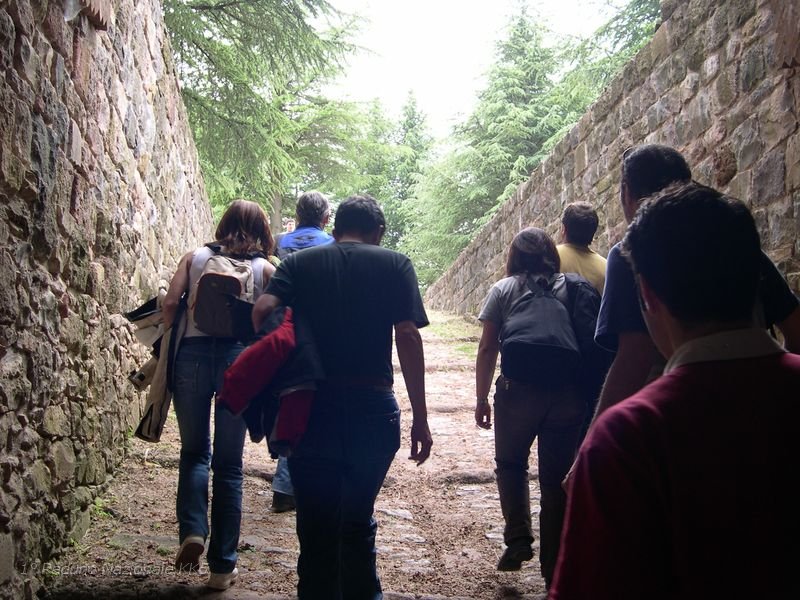 239.JPG - La possente Rocca di Radicofani svetta da più di mille anni, fu nominata per la prima volta nel 973, dalla cima di una imponente rupe basaltica di 896 metri, dalla quale domina tutto il territorio posto fra il Monte Cetona, la Val d'Orcia e il Monte Amiata. Ai suoi piedi passava un antico passo della via Cassia, poi Francigena o Romea, e fu senza dubbio questo a determinare la sua nascita e la sua storia, da sempre indissolubilmente legata a questa strada.