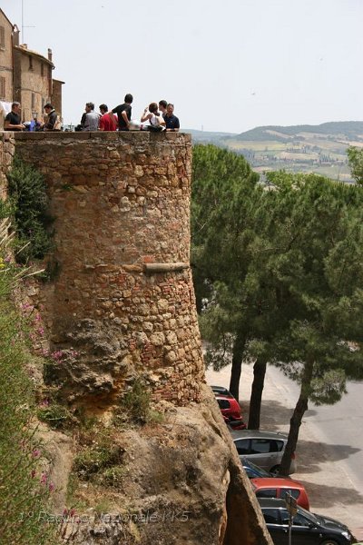 52.JPG - Nel 2003, nella riserva naturale di Lucciola Bella, sono riemersi i resti fossili di un Etruridelphis giulii (mammifero marino simile ad un delfino) vissuto nella zona oltre 4,5 milioni di anni fa, in un periodo in cui gli attuali calanchi erano il fondale del mare tirrenico. Il fossile è stato considerato dagli studiosi di grande valore scientifico perché si tratta del reperto più completo della specie esistente al mondo[3].